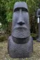 morepic-1